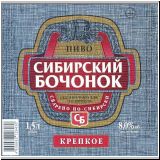 nowosibitbaltik (9).jpg